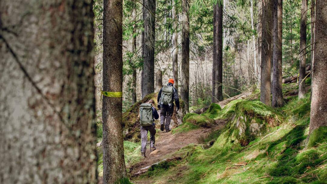 Två personer vandrar i skogen.