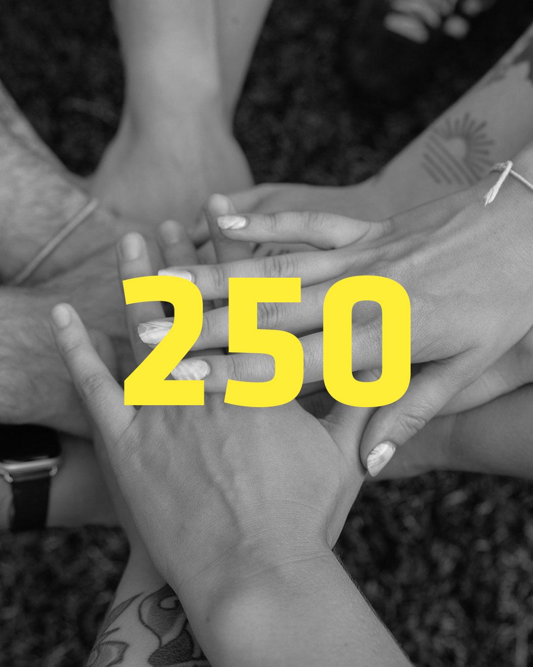 250 utbildade volontärer